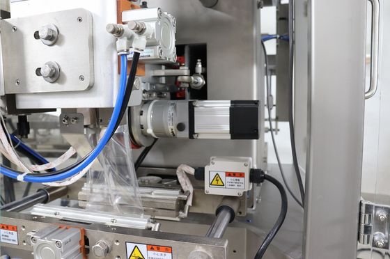 12 têtes 0,8L sécurisée par la chaleur Granule machine d'emballage de nourriture pour animaux de compagnie pour les noix