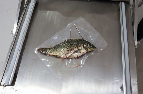 Machine à double chambre électrique à vide pour emballage de légumes, de pain, de poissons et de fruits de mer 120 kg