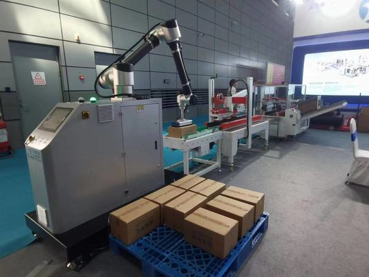 IP65 Ligne d'emballage avec boîtier de carton boîte de sac système de palettisation d'étanchéité pliable