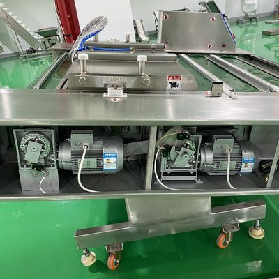 Matériau d'emballage en plastique courroie transporteuse machine d'étanchéité sous vide pour la viande, le poisson et le poulet