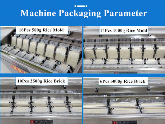 Sélecteur à vide à chambre unique DZ-850 pour alimentation automatique riz céréales légumes viande de bœuf poisson