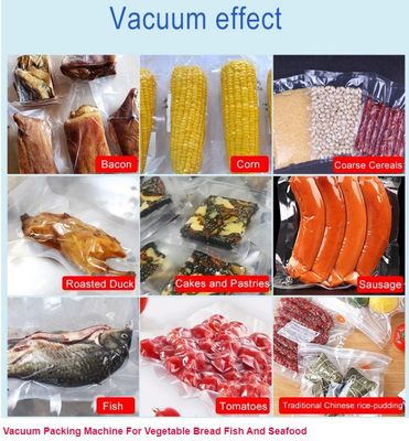 Machine de scellement sous vide à deux chambres professionnelle DZ-400 DZ-500 DZ-600 pour les feuilles de basilic