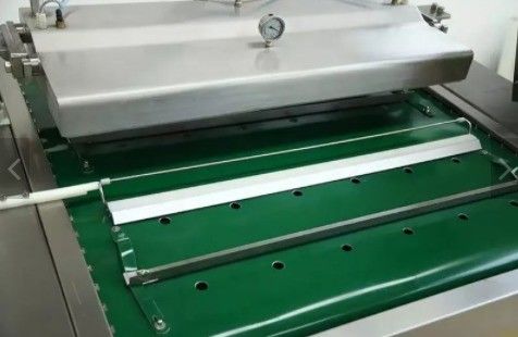 Machine d'emballage sous vide à rouleaux de type courroie continue pour crevettes séchées et saumon fumé